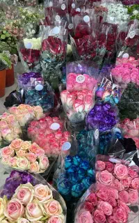رزهلندی  بسته ای به قیمت عمده