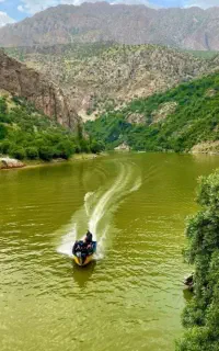 دور همی