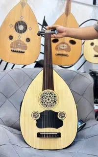 عود الکترو اکوستیک