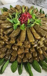 سفارش دلمه شیرازی بهترین ذخیره غذا