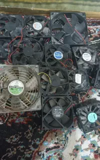 فن کیس