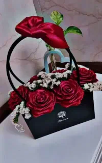 آماده. قیمت مناسب