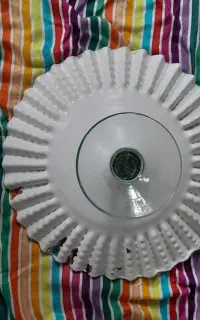 ظروف میوه