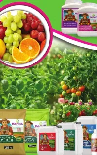 احیا زمین، ۳۰درصدافزایش تناژ محصولات