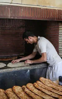نیازمند شاطر بربری