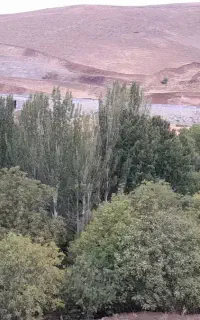 تور گردشگری