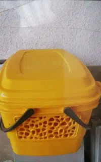 سبد بزرگ