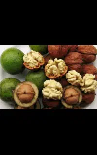 گردو تازه