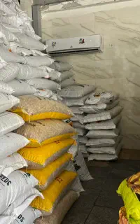 تخمه آفتابگردان خام