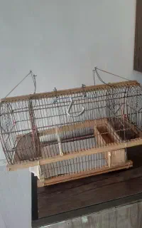 تله قفس نو استفاده نشده