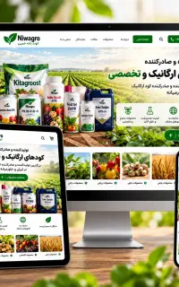 متخصص طراحی سایت در اردبیل ( مدرس وب و هوش مصنوعی)