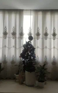 پرده شیک