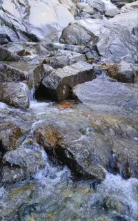 سفراشتراکی