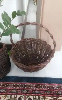 سبد میوه