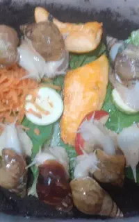 حلزون سیب وآلبینو واسکارگوت