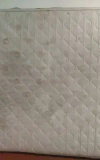 تشک رویال