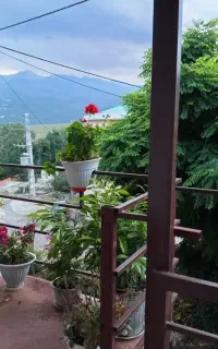 اجاره ویلا در کلاردشت به صورت شبانه و سالانه
