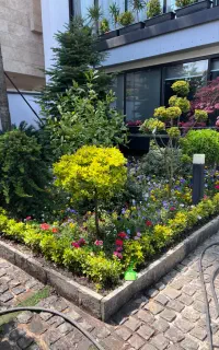 زوج سرایدار - آقا میتونن شغل مجزا داشته باشند