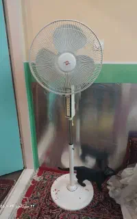 پنکه ایستاده