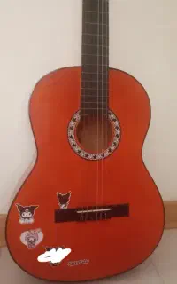 گیتار به همراه کیف