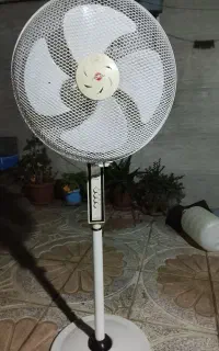 پنکه