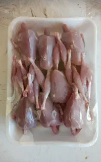 کود بلدرچین