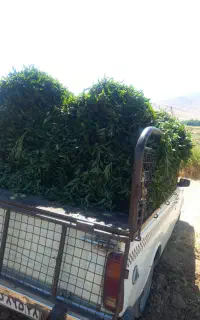 حمل بار به سراسر ایران