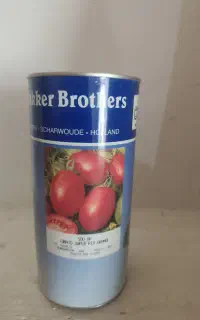 بذر گوجه