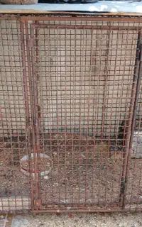 قفس بزرگ