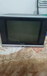 تلوزیون