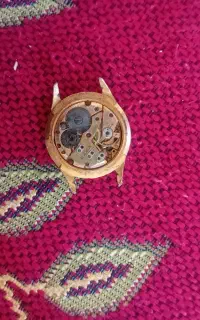 ساعت کلکسیونی کوکی