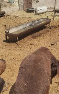 اخور جوی خوری،روستای شم اباد