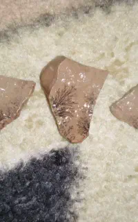 سنگ رگه کربنی طرح شجر