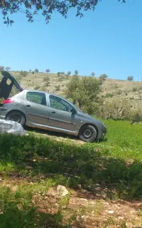 ۲۰۶ تیپ ۵ مدل ۸۳ دور رنگ