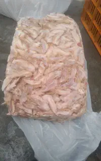 اشغال گوشت مخصوص سگ