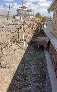 دفع علف هرز ..هرس ..کف بری