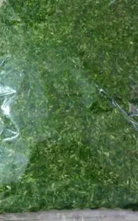 سبزی قورمه سبزی انواع آش و کوکو