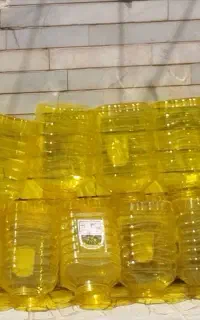 ظرف نگهدارنده