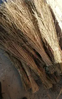 جاروبلند