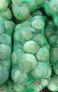 کلم پیچ
