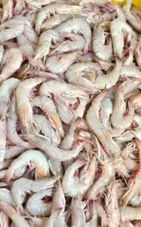 نیازمند چند نیروی کار هستیم
