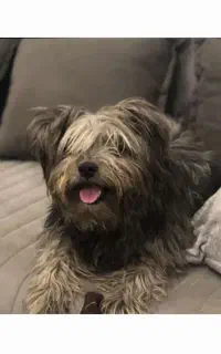 سرگرمی و فراغت