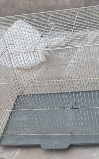 قفس دو در سایز بزرگش
