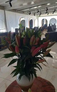 اجاره اتاق ولاین درسالن زیبایی