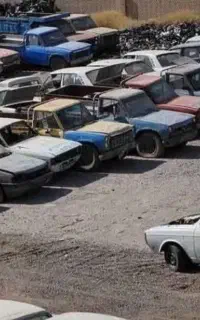 اسقاطی روپا