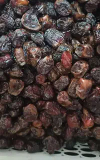 خرما مرداسنگ