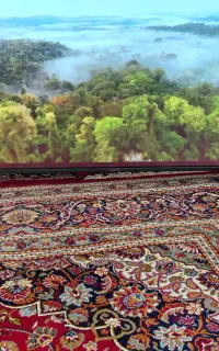 فروش یا تعوض تلویزیون ۵۵ اینچ دوو