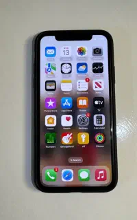 گوشی اپل ایکس اس ۲۵۶