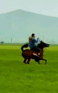 اسب مادیان سه سال بشرت سواری چشای رنگی ابی