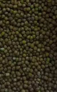 ماشک کیلویی 290